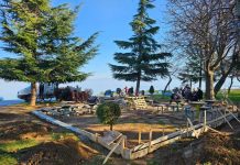 Bashkia Pogradec, mjedise të reja dedikuar moshës së tretë