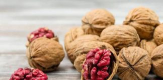 Arrat e Kuqe – Vlerat Ushqyese Dhe Përdorimi në Kuzhinë