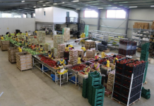 Shoqëri të përbashkëta fermere për rritjen e vlerës së prodhimeve bujqësore