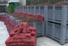 Gështenjat e Tropojës drejt certifikimit me standardet më të larta të cilësisë