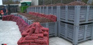 Gështenjat e Tropojës drejt certifikimit me standardet më të larta të cilësisë