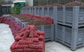 Gështenjat e Tropojës drejt certifikimit me standardet më të larta të cilësisë