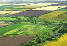 Censi në Bujqësi, databazë të dhënash për fermat dhe gjedhët