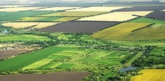 Censi në Bujqësi, databazë të dhënash për fermat dhe gjedhët