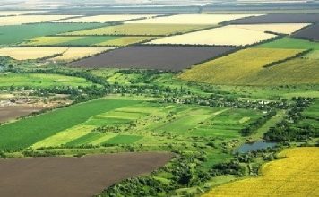 Censi në Bujqësi, databazë të dhënash për fermat dhe gjedhët