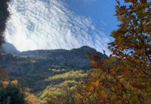 Bredhi i Sotirës me sipërfaqe të rritur ku mbrohen habitatet dhe speciet e veçanta