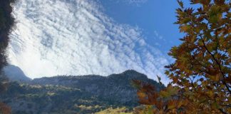 Bredhi i Sotirës me sipërfaqe të rritur ku mbrohen habitatet dhe speciet e veçanta