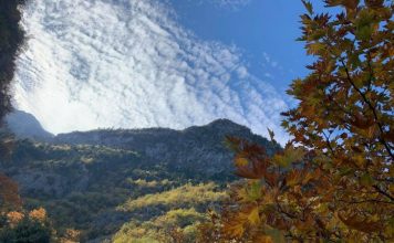 Bredhi i Sotirës me sipërfaqe të rritur ku mbrohen habitatet dhe speciet e veçanta