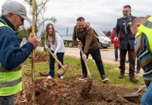 Saranda i bashkohet aktiviteteve të Vitit të Pyjeve 2024