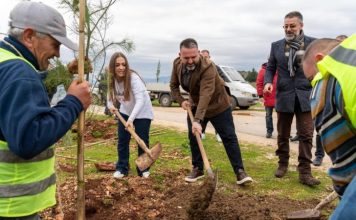 Saranda i bashkohet aktiviteteve të Vitit të Pyjeve 2024