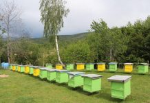 Përjashtimi nga TVSH, ndihmë për fermerët dhe sektorin e bletarisë