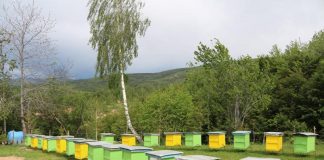 Përjashtimi nga TVSH, ndihmë për fermerët dhe sektorin e bletarisë