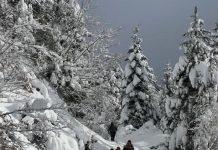 Fluks turistësh në Alpet e Shqipërisë, rreth 558 mijë në 2023