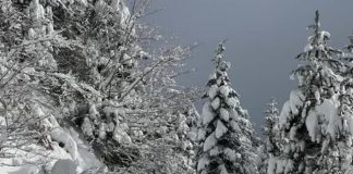 Fluks turistësh në Alpet e Shqipërisë, rreth 558 mijë në 2023