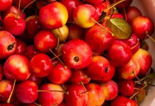 Pa Asnjë Kimikat – Të Mirat e Panjohura të Mollëve të Egra