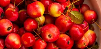 Pa Asnjë Kimikat – Të Mirat e Panjohura të Mollëve të Egra