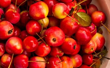 Pa Asnjë Kimikat – Të Mirat e Panjohura të Mollëve të Egra