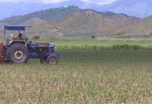 Sarandë, rritje e investimeve në sektorin e bujqësisë