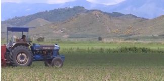 Sarandë, rritje e investimeve në sektorin e bujqësisë