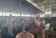 Sektor konkurrues i qumështit, FAO trajnon veterinerët e rinj në 3 rajone