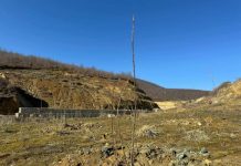 25 vjet nga shpallja e Pogradecit zonë e mbrojtur, mbillen 1500 fidanë të rinj