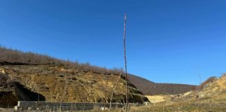 25 vjet nga shpallja e Pogradecit zonë e mbrojtur, mbillen 1500 fidanë të rinj