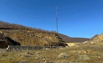 25 vjet nga shpallja e Pogradecit zonë e mbrojtur, mbillen 1500 fidanë të rinj