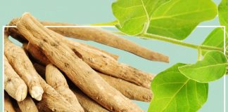 Çfarë Është Ashuaganda – Cilat Janë Përfitimet Shëndetësore
