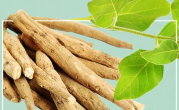 Çfarë Është Ashuaganda – Cilat Janë Përfitimet Shëndetësore