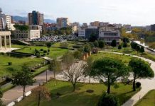 Transformim i lulishtes së re në Lezhë