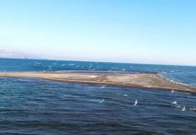 Delta e Bunës, një perlë e Shkodrës