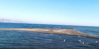 Delta e Bunës, një perlë e Shkodrës