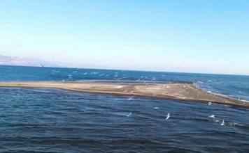 Delta e Bunës, një perlë e Shkodrës