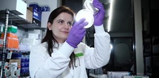 Lisiena Hysenaj, pjesë e shkencës në SHBA që po kontribuon në shpëtimin të jetëve të njerëzve