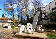 Sot Dita e Gjuhës Amtare