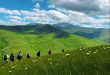 4.5 milionë vizitorë eksploruan zonat e mbrojtura në vitin 2023