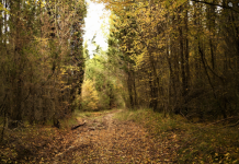 EU4Culture fton turistët për eksplorimin e monumenteve kulturore dhe natyrore të Shqipërisë