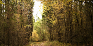 EU4Culture fton turistët për eksplorimin e monumenteve kulturore dhe natyrore të Shqipërisë