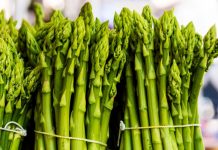 Shpargu, një Perime për Mbretër, Perandorë dhe Sulltanë