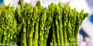 Shpargu, një Perime për Mbretër, Perandorë dhe Sulltanë