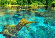 ”Politiken”: Shqipëria apo Maldivet e lira të Evropës