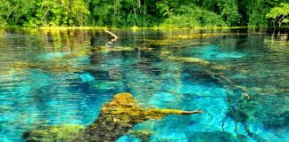 ”Politiken”: Shqipëria apo Maldivet e lira të Evropës