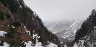 INSTAT: Numri i vizitorëve rritje me 47.9% në dhjetor