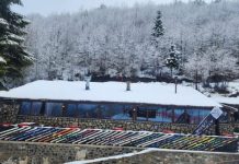 Dardha, e zbardhur nga dëbora