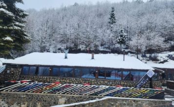 Dardha, e zbardhur nga dëbora