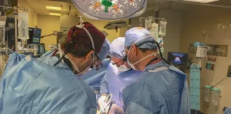 Transplantohet për herë të parë një veshkë derri në trupin e një njeriu