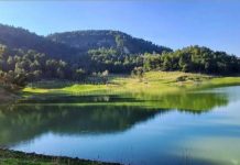 Bukuria e fshatit Prush në Tiranë