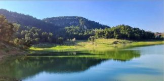 Bukuria e fshatit Prush në Tiranë