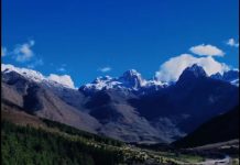 Copëz pranvere çelur mes malesh në Bogë