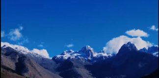 Copëz pranvere çelur mes malesh në Bogë